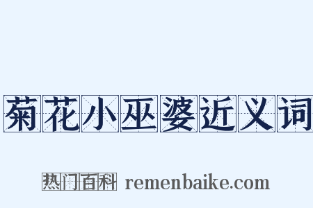 菊花小巫婆近义词是什么意思的图片